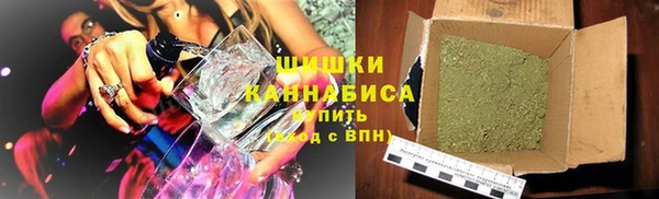 МДПВ Каменка