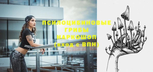 spice Каменногорск