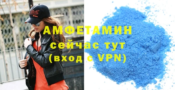 МДПВ Каменка