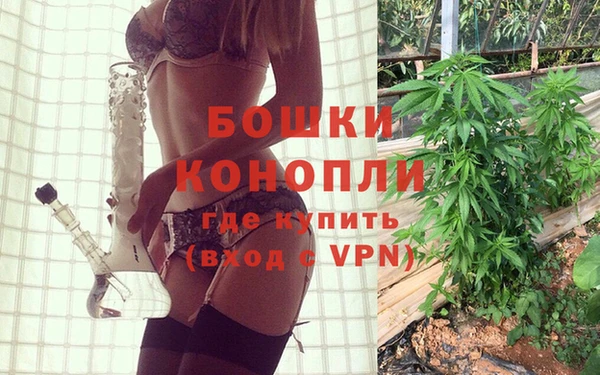 spice Каменногорск