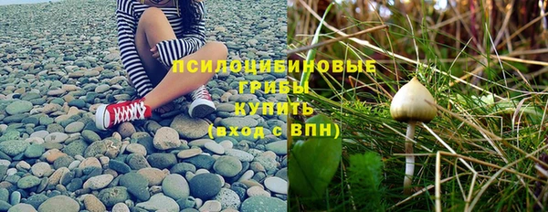 спайс Инта