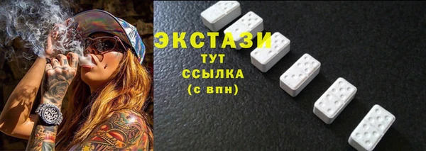 МДПВ Каменка