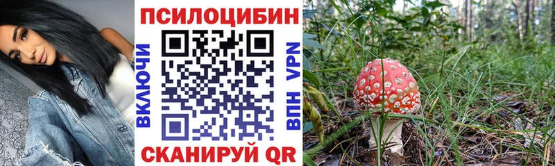 Купить где  Покачи  Псилоцибиновые грибы Cubensis 